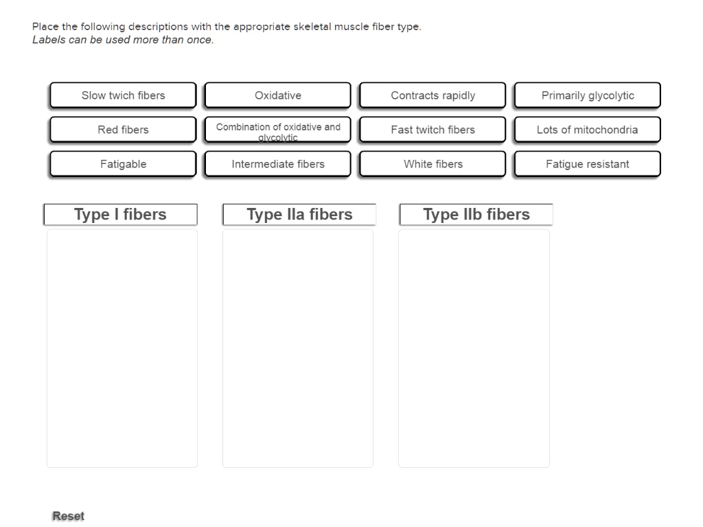 Place the following descriptions with the appropriate skeletal muscle fiber type.
Labels can be used more than once.
Slow twich fibers
Oxidative
Contracts rapidly
Primarily glycolytic
Red fibers
Combination of oxidative and glycolytic
Fast twitch fibers
Lots of mitochondria
Fatigable
Intermediate fibers
White fibers
Fatigue resistant
Type I fibers
Type IIa fibers
Type IIb fibers