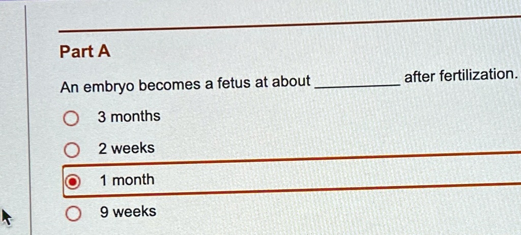 Part A
An embryo becomes a fetus at about  after fertilization.
3 months
2 weeks
1 month
9 weeks