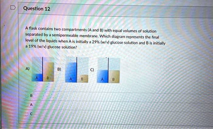 A Flask Contains Two Compartments (A And B) With Equal Volumes Of ...