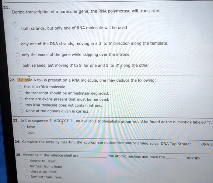 21. During transcription of a particular gene, the RNA polymerase will transcribe:

both strands, but only one of RNA molecule will be used

only one of the DNA strands, moving in a 3' to 5' direction along the template.

only the exons of the gene while skipping over the introns.

both strands, but moving 3' to 5' for one and 5' to 3' along the other

22. If a poly-A tail is present on a RNA molecule, one may deduce the following:
this is a rRNA molecule.
the transcript should be immediately degraded.
there are exons present that must be removed.
this RNA molecule does not contain introns.
None of the options given is correct.

23. In the sequence 5'-AGGCCT-3', an available triphosphate group would be found at the nucleotide labeled "T."
false
true

24. Complete the table by inserting the appropriate nucleotides and/or amino acids. DNA Top Strand: DNA Bottom Strand:

25. Electrons in the valence shell are  the atomic nucleus and have the  energy.
closest to; least
farthest from; least
closest to; most
farthest from; most