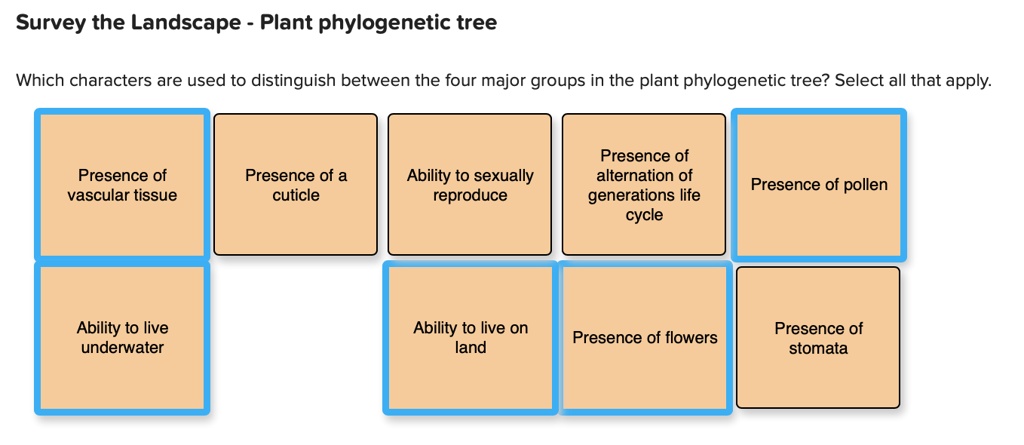 Phylogenetic Tree Of Plant Groups