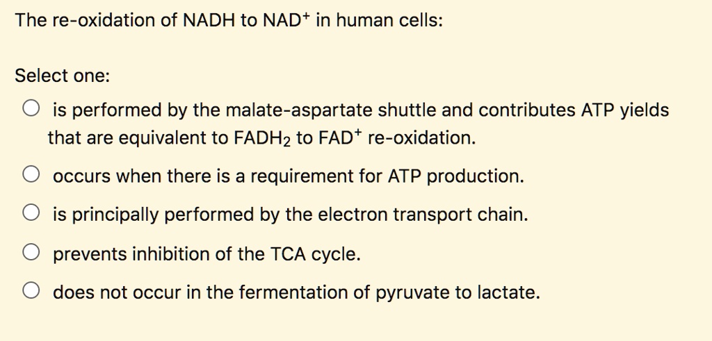 the re oxidation of nadh to nad in human cells select one is performed ...