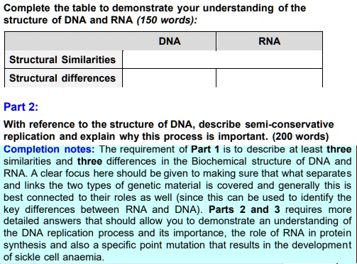 dna and rna similarities and differences