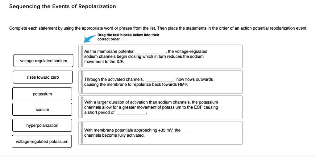 Complete Each Statement By Using The Appropriate Word Or Phrase From The List