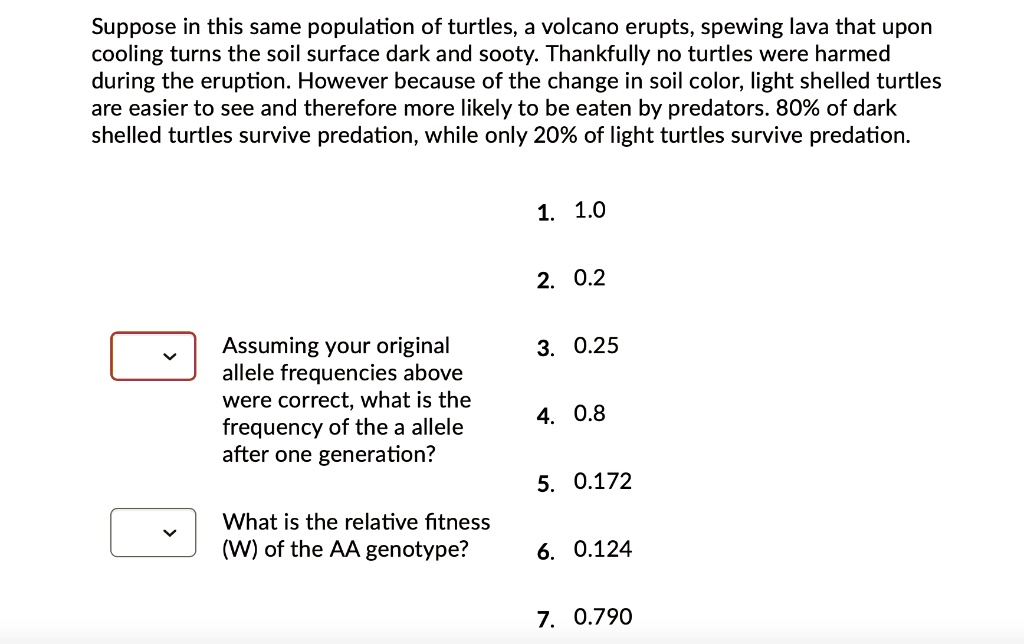 SOLVED: Suppose In This Same Population Of Turtles, A Volcano Erupts ...