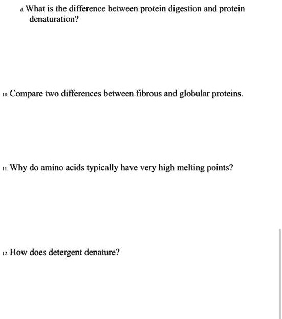 SOLVED What is the difference between protein digestion and protein