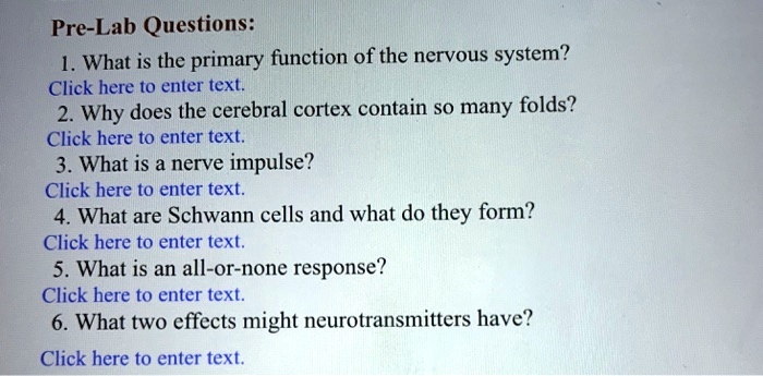 Pre-Lab Questions:
1. What is the primary function of the nervous system?
2. Why does the cerebral cortex contain so many folds?
3. What is a nerve impulse?
4. What are Schwann cells and what do they form?
5. What is an all-or-none response?
6. What two effects might neurotransmitters have?