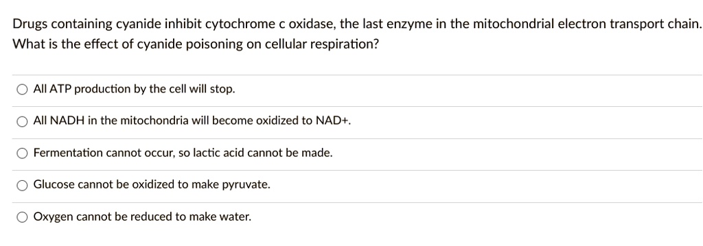 Drugs containing cyanide inhibit cytochrome c oxidase, the last enzyme in the mitochondrial electron transport chain. What is the effect of cyanide poisoning on cellular respiration?
All ATP production by the cell will stop.
All NADH in the mitochondria will become oxidized to NAD+.
Fermentation cannot occur, so lactic acid cannot be made.
Glucose cannot be oxidized to make pyruvate.
Oxygen cannot be reduced to make water.