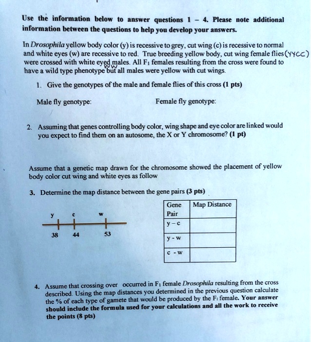Use the information below to answer questions 1 – 4. Please note additional information between the questions to help you develop your answers.

In Drosophila yellow body color (y) is recessive to grey, cut wing (c) is recessive to normal and white eyes (w) are recessive to red. True breeding yellow body, cut wing female flies (yycc) were crossed with white eyed males. All F1 females resulting from the cross were found to have a wild type phenotype but all males were yellow with cut wings.

1. Give the genotypes of the male and female flies of this cross (1 pts)

Male fly genotype: 
Female fly genotype:

2. Assuming that genes controlling body color, wing shape and eye color are linked would you expect to find them on an autosome, the X or Y chromosome? (1 pt)

Assume that a genetic map drawn for the chromosome showed the placement of yellow body color cut wing and white eyes as follow

3. Determine the map distance between the gene pairs (3 pts)

y c w
|–|–|
38 44 53

Gene Pair | Map Distance
y - c |
y - w |
c - w |

4. Assume that crossing over occurred in F1 female Drosophila resulting from the cross described. Using the map distances you determined in the previous question calculate the % of each type of gamete that would be produced by the F1 female. Your answer should include the formula used for your calculations and all the work to receive the points (8 pts)