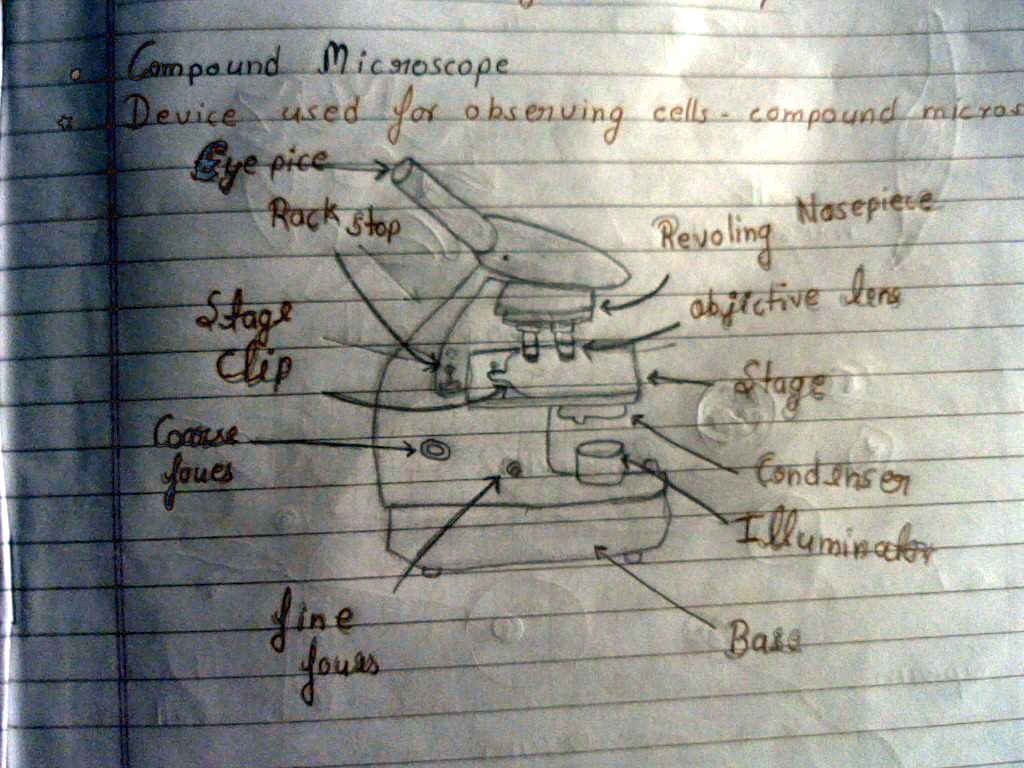 SOLVED microscope explain it'