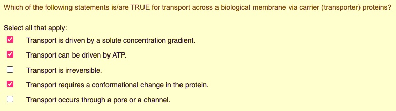 Which of the following statements is/are TRUE for transport across a biological membrane via carrier (transporter) proteins?

Select all that apply:
Transport is driven by a solute concentration gradient.
Transport can be driven by ATP.
Transport is irreversible.
Transport requires a conformational change in the protein.
Transport occurs through a pore or a channel.