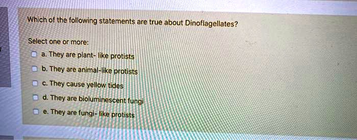 Which of the following statements are true about Dinoflagellates?
Select one or more:
a. They are plant- like protists
b. They are animal-like protists
c. They cause yellow tides
d. They are bioluminescent fungi
e. They are fungi- like protists