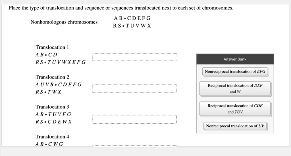Place the type of translocation and sequence or sequences translocated next to each set of chromosomes.
Nonhomologous chromosomes
AB • CDEFG
RS • TUVWX
Translocation 1
AB • CD
RS • TUVWXEFG
Translocation 2
AUVB • CDEFG
RS • TWX
Translocation 3
AB • TUVFG
RS • CDEWX
Translocation 4
AB • CWG
Answer Bank
Nonreciprocal translocation of EFG
Reciprocal translocation of DEF and W
Reciprocal translocation of CDE and TUV
Nonreciprocal translocation of UV