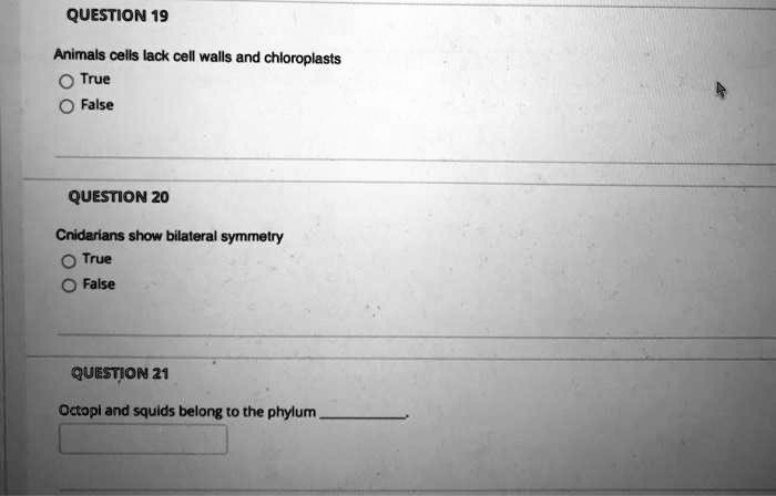 QUESTION 19
Animals cells lack cell walls and chloroplasts
True
False

QUESTION 20
Cnidarians show bilateral symmetry
True
False

QUESTION 21
Octopi and squids belong to the phylum .