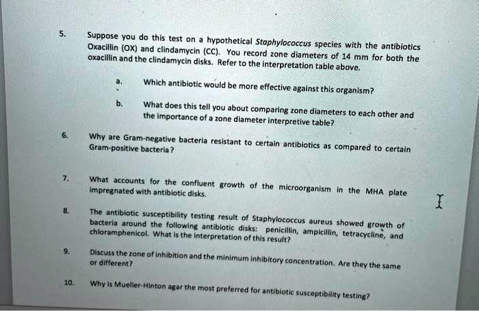 5. Suppose you do this test on a hypothetical Staphylococcus species with the antibiotics Oxacillin (OX) and clindamycin (CC). You record zone diameters of 14 mm for both the oxacillin and the clindamycin disks. Refer to the interpretation table above.
a. Which antibiotic would be more effective against this organism?
b. What does this tell you about comparing zone diameters to each other and the importance of a zone diameter interpretive table?
6. Why are Gram-negative bacteria resistant to certain antibiotics as compared to certain Gram-positive bacteria?
7. What accounts for the confluent growth of the microorganism in the MHA plate impregnated with antibiotic disks.
8. The antibiotic susceptibility testing result of Staphylococcus aureus showed growth of bacteria around the following antibiotic disks: penicillin, ampicillin, tetracycline, and chloramphenicol. What is the interpretation of this result?
9. Discuss the zone of inhibition and the minimum inhibitory concentration. Are they the same or different?
10. Why is Mueller-Hinton agar the most preferred for antibiotic susceptibility testing?