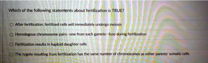 Which of the following statements about fertilization is TRUE?
After fertilization, fertilized cells will immediately undergo meiosis
Homologous chromosome pairs–one from each gamete–fuse during fertilization
Fertilization results in haploid daughter cells
The zygote resulting from fertilization has the same number of chromosomes as either parents' somatic cells