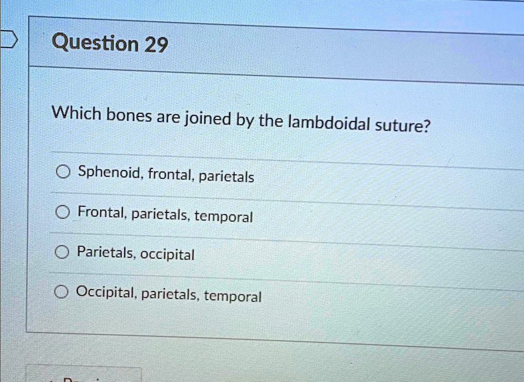 Solved: Question 29 Which Bones Are Joined By The Lambdoidal Suture 