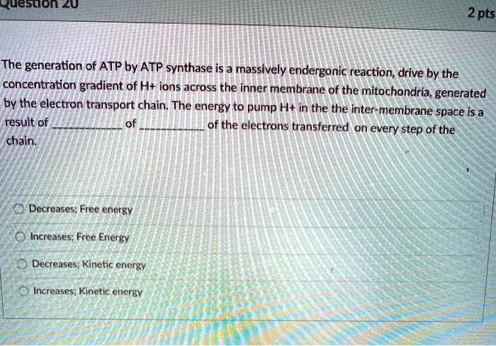 The generation of ATP by ATP synthase is a massively endergonic reaction, drive by the concentration gradient of H+ ions across the inner membrane of the mitochondria, generated by the electron transport chain. The energy to pump H+ in the the inter-membrane space is a result of  of  of the electrons transferred on every step of the chain.

Decreases; Free energy
Increases; Free Energy
Decreases; Kinetic energy
Increases; Kinetic energy