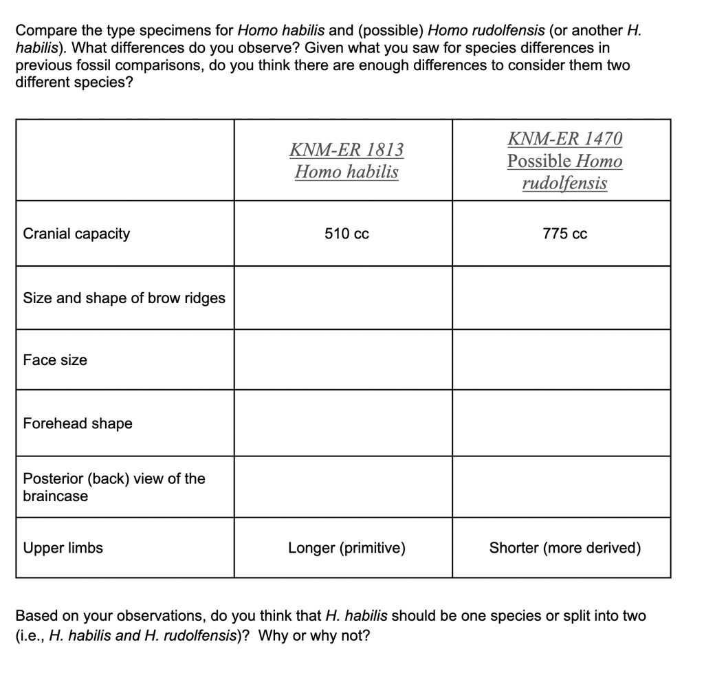 Compare the type specimens for Homo habilis and (possible) Homo ...