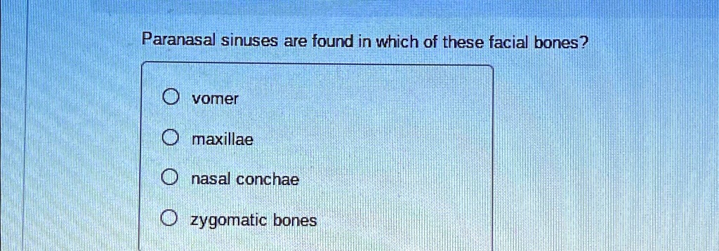 SOLVED: Paranasal sinuses are found in which of these facial bones ...