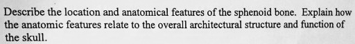Describe the location and anatomical features of the sphenoid bone. Explain how the anatomic features relate to the overall architectural structure and function of the skull.