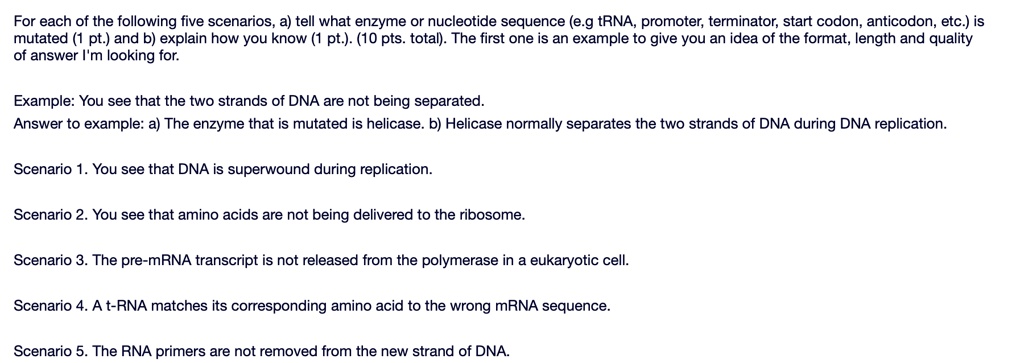 For each of the following five scenarios, a) tell what enzyme or nucleotide sequence (e.g tRNA, promoter, terminator, start codon, anticodon, etc.) is
mutated (1 pt.) and b) explain how you know (1 pt.). (10 pts. total). The first one is an example to give you an idea of the format, length and quality
of answer I'm looking for.
Example: You see that the two strands of DNA are not being separated.
Answer to example: a) The enzyme that is mutated is helicase. b) Helicase normally separates the two strands of DNA during DNA replication.
Scenario 1. You see that DNA is superwound during replication.
Scenario 2. You see that amino acids are not being delivered to the ribosome.
Scenario 3. The pre-mRNA transcript is not released from the polymerase in a eukaryotic cell.
Scenario 4. A t-RNA matches its corresponding amino acid to the wrong mRNA sequence.
Scenario 5. The RNA primers are not removed from the new strand of DNA.