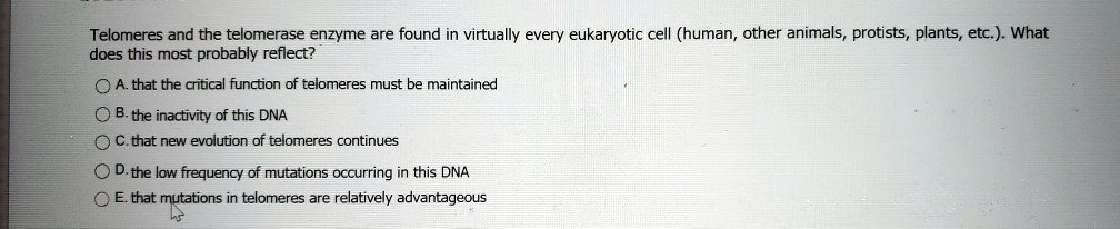 Telomeres and the telomerase enzyme are found in virtually every eukaryotic cell (human, other animals, protists, plants, etc.). What does this most probably reflect?

A. that the critical function of telomeres must be maintained
B. the inactivity of this DNA
C. that new evolution of telomeres continues
D. the low frequency of mutations occurring in this DNA
E. that mutations in telomeres are relatively advantageous