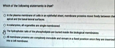 which of the following statements is true in the plasma membrane of cells in an epithelial sheet membrane proteins move freely between the apical and the basal lateral surfaces in eukaryotes 02366