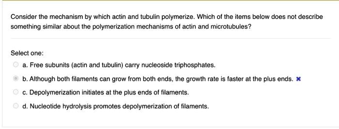 Consider the mechanism by which actin and tubulin polymerize. Which of the items below does not describe something similar about the polymerization mechanisms of actin and microtubules?

Select one:
a. Free subunits (actin and tubulin) carry nucleoside triphosphates.
b. Although both filaments can grow from both ends, the growth rate is faster at the plus ends.
c. Depolymerization initiates at the plus ends of filaments.
d. Nucleotide hydrolysis promotes depolymerization of filaments.