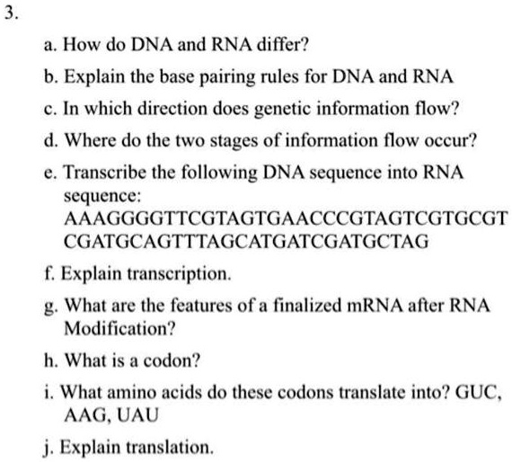 Solved How Do Dna And Rna Differ B Explain The Base Pairing Rules For Dna And Rna C In