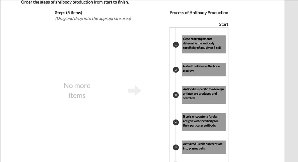 Order the steps of antibody production from start to finish.
Process of Antibody Production
Start
1 Gene rearrangements determine the antibody specificity of any given B cell.
2 Naïve B cells leave the bone marrow.
3 Antibodies specific to a foreign antigen are produced and secreted.
4 B cells encounter a foreign antigen with specificity for their particular antibody.
5 Activated B cells differentiate into plasma cells.