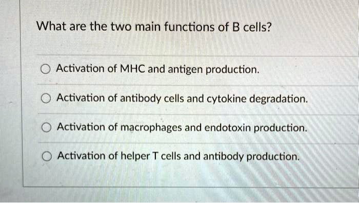 SOLVED: What are the two main functions of B cells? Activation of MHC ...