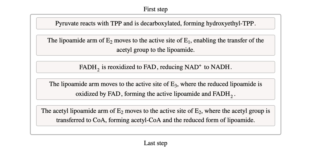first step pyruvate reacts with tpp and is decarboxylated forming hydroxyethyl tpp the lipoamide arm of e2 moves to the active site of e1 enabling the transfer of the acetyl group to the lip 10297