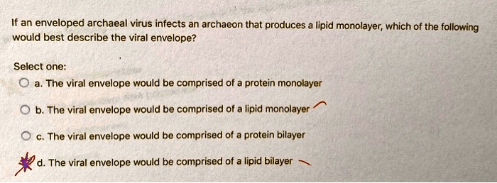 If an enveloped archaeal virus infects an archaeon that produces a lipid monolayer, which of the following
would best describe the viral envelope?
Select one:
a. The viral envelope would be comprised of a protein monolayer
b. The viral envelope would be comprised of a lipid monolayer
c. The viral envelope would be comprised of a protein bilayer
d. The viral envelope would be comprised of a lipid bilayer