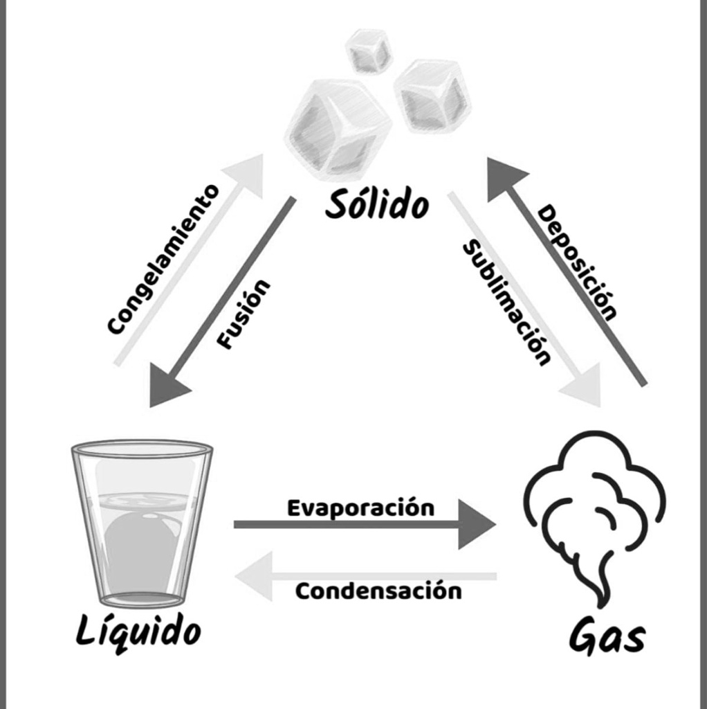 SOLVED: transformaciones de la materia. Podrían ayudarme a hacer un ...