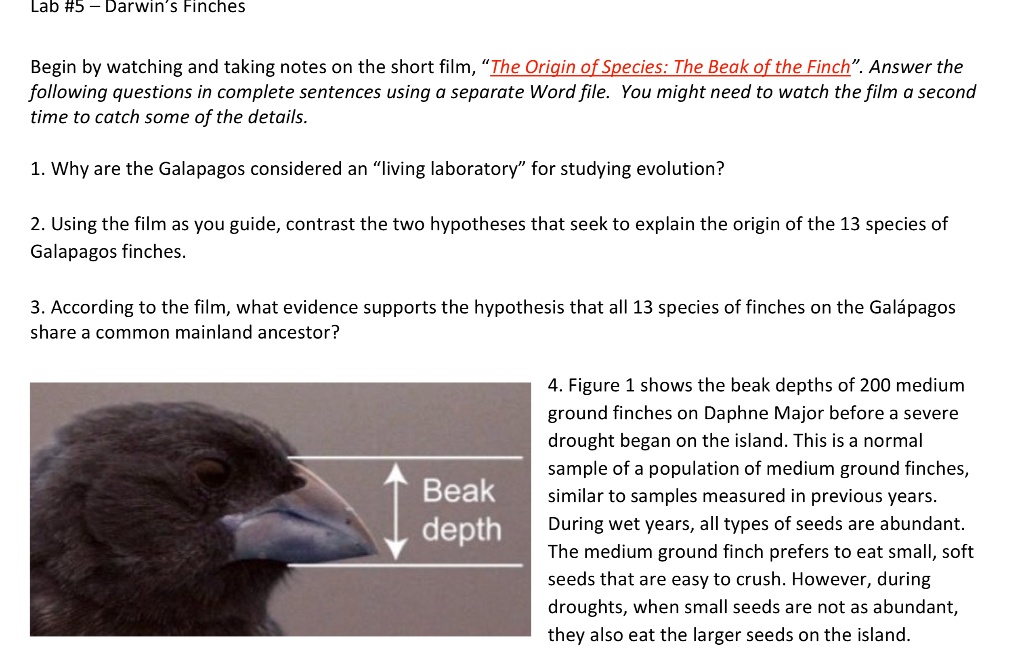 SOLVED Lab 5 Darwin Finches Begin by watching and taking notes on