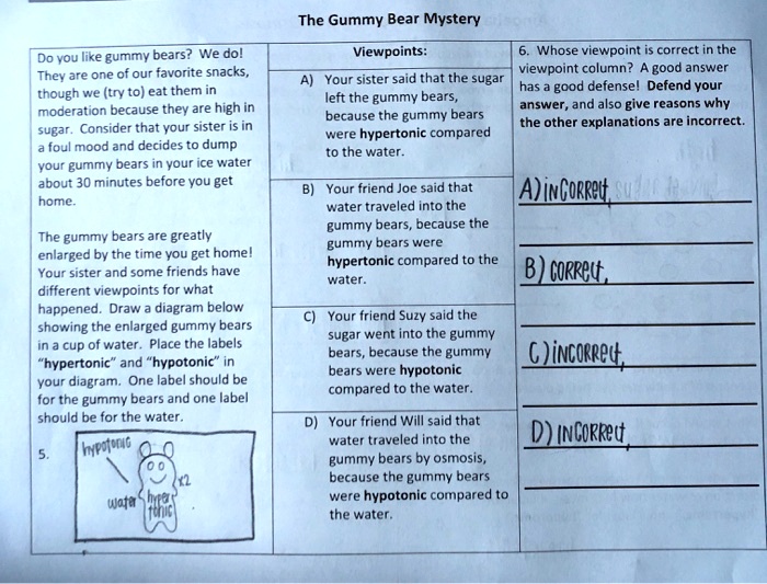 The Gummy Bear Mystery Amoeba Sisters Answer Key