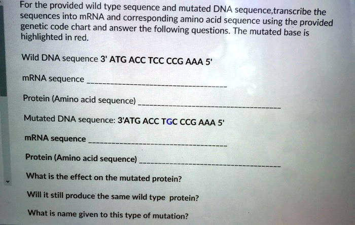 For the provided wild type sequence and mutated DNA sequence ...