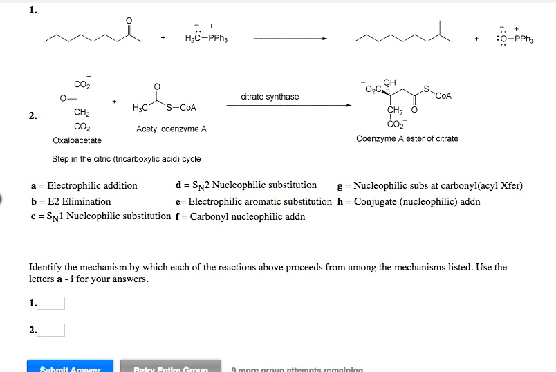 SOLVED: HzC-PPh; PPha COz citrate synthase CoA CF2 COz Oxaloacetate H3C ...