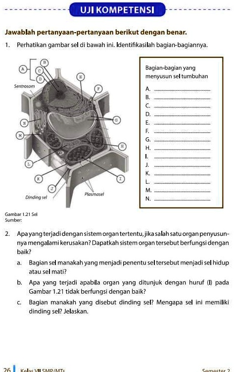 SOLVED: Tolong Dibantu Kak Besok Dikumpul UJI KOMPETENSI Jawablah ...