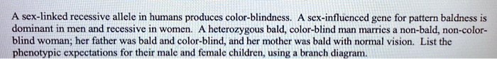 Solved Sex Linked Recessive Allele In Humans Produces Color Blindness A Sex Influenced Gene 5306