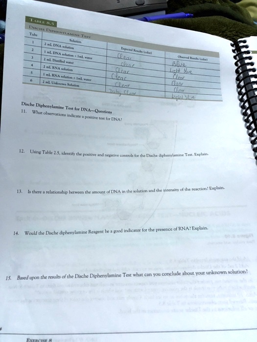 TABLE 8.5
DISCHE DIPHENYLAMINE TEST
Tube | Solution | Expected Results (color) | Observed Results (color)
1 | 2 mL DNA solution | Clear | Blue
2 | 1 mL DNA solution + 1 mL water | Clear | Light Blue
3 | 2 mL Distilled water | Clear | Clear
4 | 2 mL RNA solution | Clear | Clear
5 | 1 mL RNA solution + 1 mL water | Clear | Clear
6 | 2 mL Unknown Solution | Dirty Clear | Light Blue

Dische Diphenylamine Test for DNA—Questions
11. What observations indicate a positive test for DNA?
12. Using Table 2.5, identify the positive and negative controls for the Dische diphenylamine Test. Explain.
13. Is there a relationship between the amount of DNA in the solution and the intensity of the reaction? Explain.
14. Would the Dische diphenylamine Reagent be a good indicator for the presence of RNA? Explain.
15. Based upon the results of the Dische Diphenylamine Test what can you conclude about your unknown solution?
