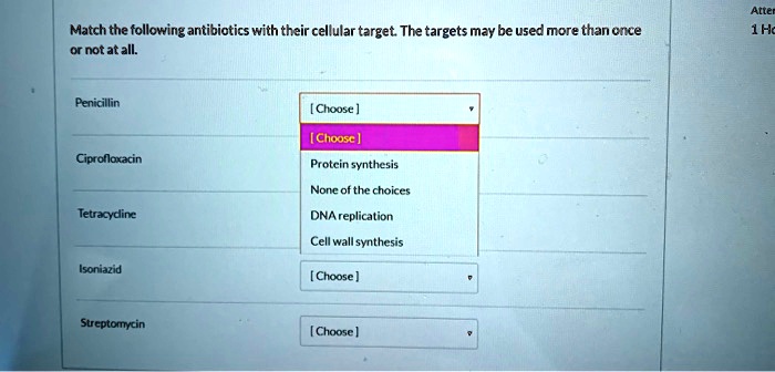 Match the following antibiotics with their cellular target. The targets may be used more than once or not at all.

Penicillin
[ Choose ]
Ciprofloxacin
Protein synthesis
None of the choices
DNA replication
Cell wall synthesis
Tetracycline
Isoniazid
[ Choose ]
Streptomycin
[ Choose ]