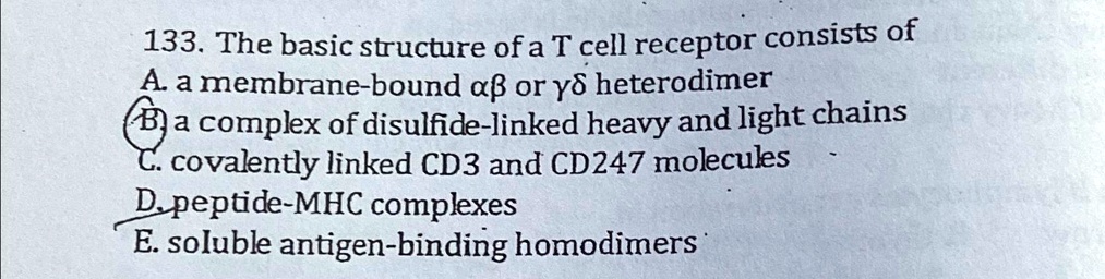SOLVED: The basic structure of a T cell receptor consists of A. a ...