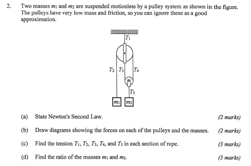 SOLVED: Two Masses M And M2 Are Suspended Motionless By A Pulley System ...