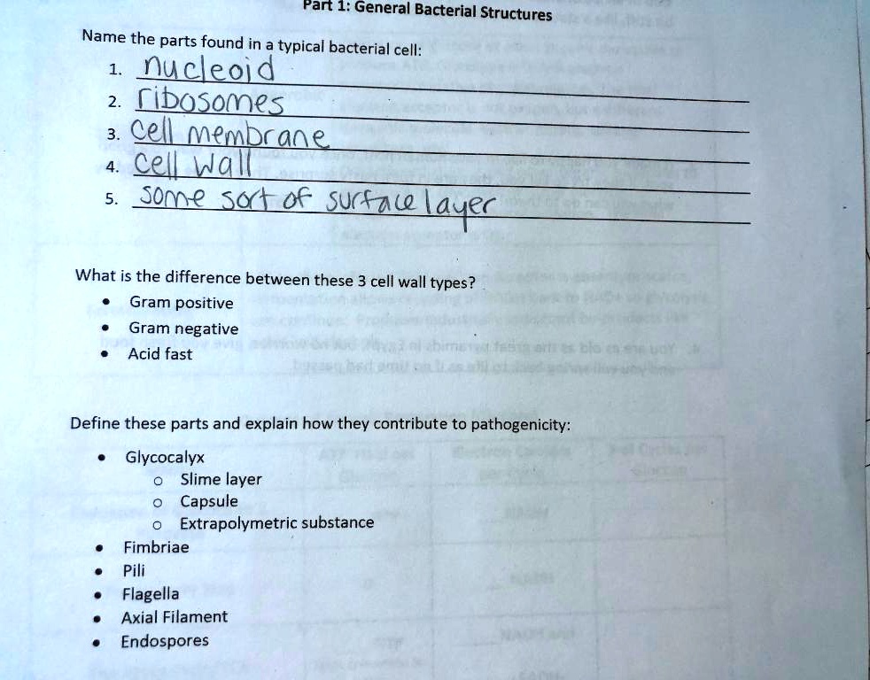 solved-part-1-general-bacterial-structures-name-the-parts-found-in-a