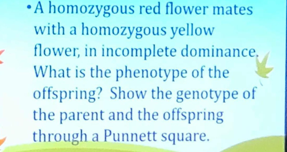SOLVED A homozygous red flower mates with a homozygous yellow flower