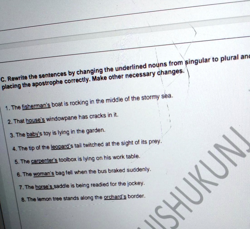 C rewrite the sentences by changing the underlined nouns...