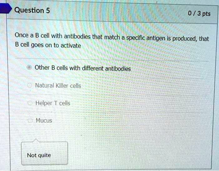 SOLVED: Question 5 0 / 3 Pts Once A B Cell With Antibodies That Match A ...