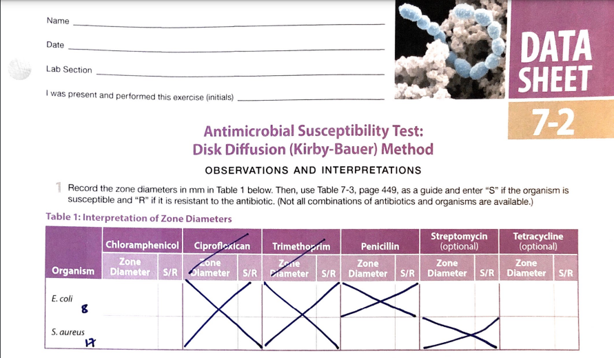 Name Date Lab Section I Was Present And Performed This Exercise ...